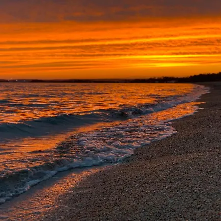 Dreams On The Sea